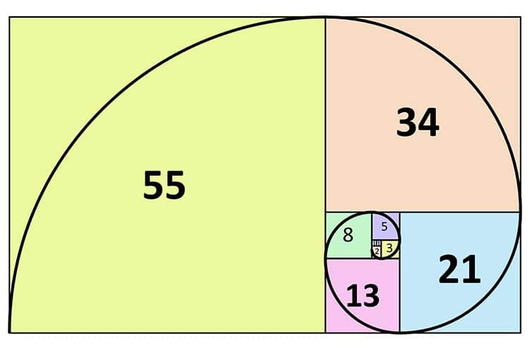 Read more about the article Fibonacci Numbers: Using Tiva C Series TM4C123 and BCD to Seven Segment Decoders